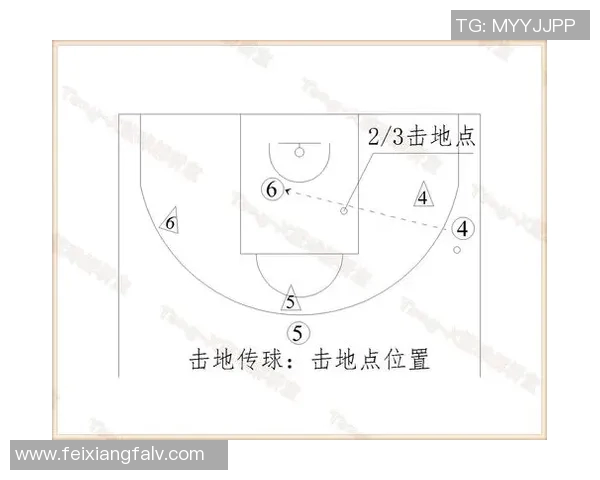 成都极限运动队区域防守战术解析与实战应用探讨