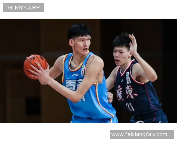 武汉排球队与重庆排球队赛后复盘分析战术对决及其影响因素探讨