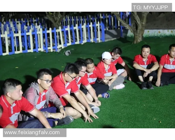 武汉飞盘队的个人能力提升与团队协作的深度探讨