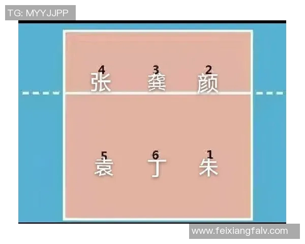 深度分析深圳排球队整体压制战术及其对比赛的影响与优势